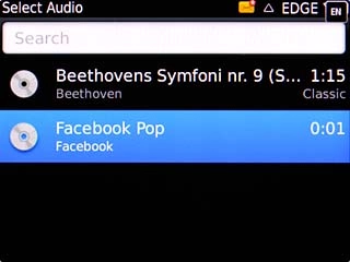 Highlight the required audio file and press the Navigation key.