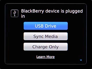 Scroll to USB Drive and press the Navigation key.