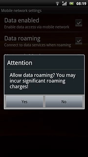 If you turn on data roaming:Press Yes to confirm.