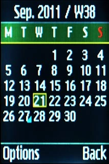 Highlight the required date and press Options.