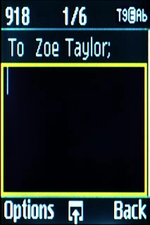 Highlight the text input field and write the required text.