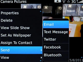 Press one of the following options:Email, go to 3a.