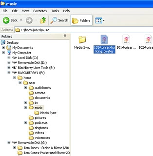 Highlight the required audio file and move or copy it to your phone.