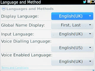 Press Display Language.