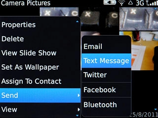 Text Message, go to 3b.