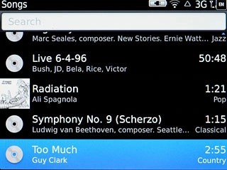 Press the required audio file.Repeat the procedure to add more audio files to the playlist.