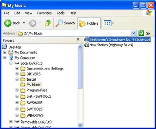 Highlight the required file and move or copy it to your phone.