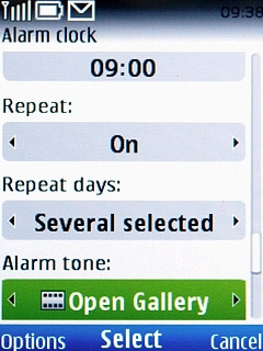 If you select Open Gallery: