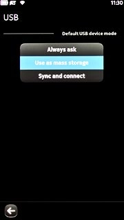 Press Use as mass storage.