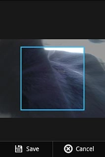 Drag the frame to the required position to select the required detail.