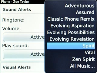 Highlight the required ring tone to listen to them.