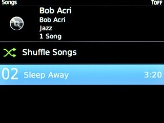 Highlight the required audio file or the required playlist and press the Navigation key.