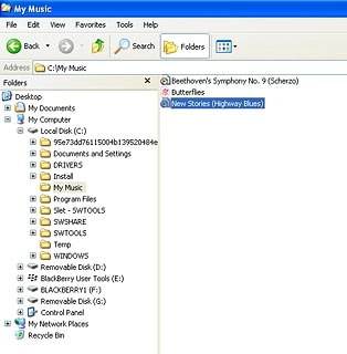 Highlight the required audio file and move or copy it to your phone.
