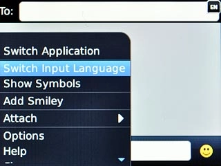 Scroll to Switch Input Language and press the Navigation key.