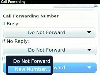 Scroll to New Number... and press the Navigation key.