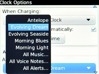 Highlight the different alarm tones to listen to them.