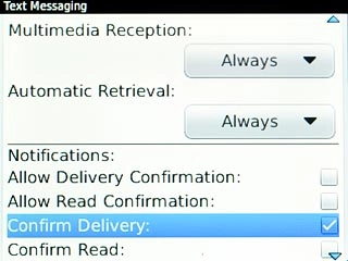 When the box next to the menu item is ticked (V), the function is turned on.