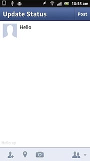 Write the required text and press Post.