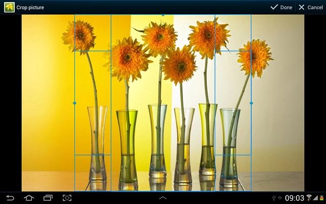 Drag the frame to the required position to select the required detail.