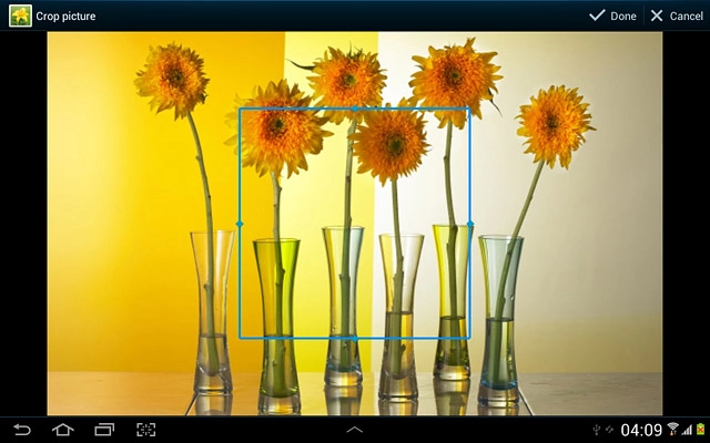 Drag the frame to the required position to select the required detail.