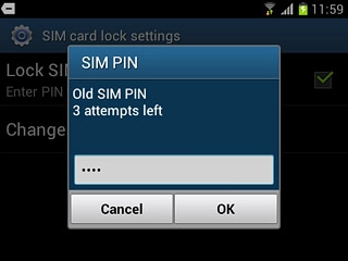 Key in your current PIN and press OK.