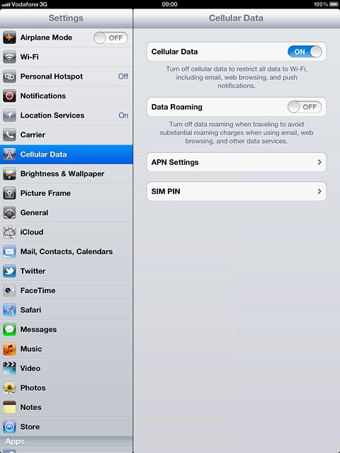 Press the indicator next to Data Roaming.Depending on the current setting, the function is turned on or off.