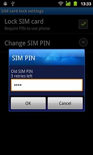 Key in your current PIN and press OK.