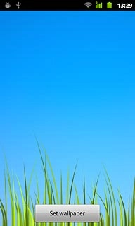 Press Set wallpaper.