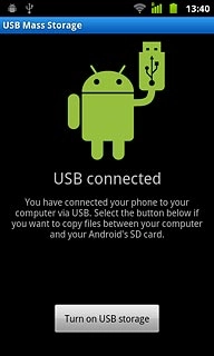 Press Turn on USB storage.