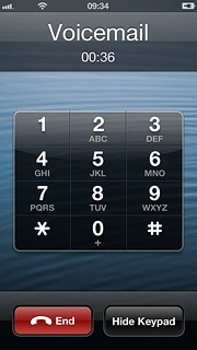 Press End to end the call.