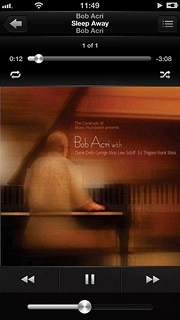 To go to the previous audio file:Press arrow left twice.