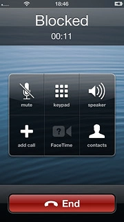 Press End to end the call.