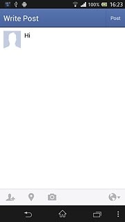 Write the required text and press Post.