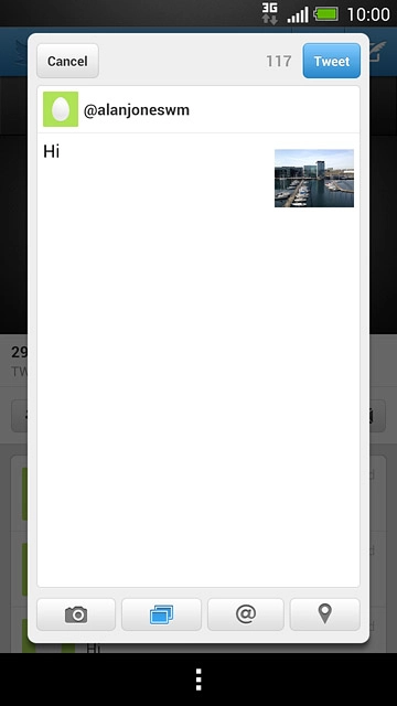 Write the required text and press Tweet.