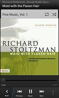 Press the shuffle icon to turn the function on or off.