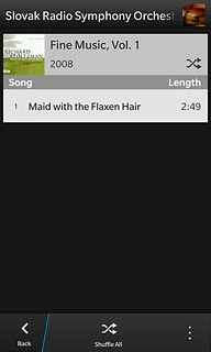 Press the required audio file.
