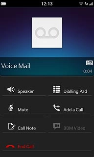 Press End Call to end the call.