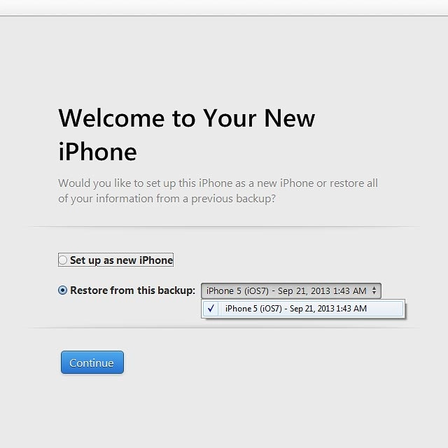 Click the required backup.