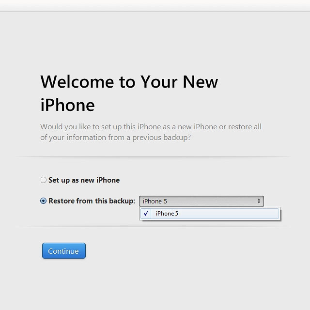 Click the required backup.