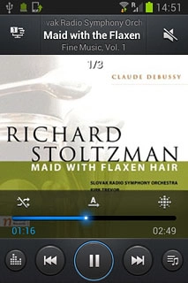 To go to the previous audio file:Press arrow left twice.