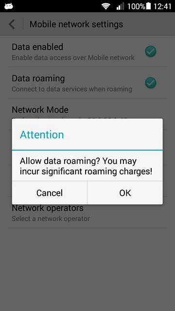 If you turn on data roaming:Press OK to confirm.