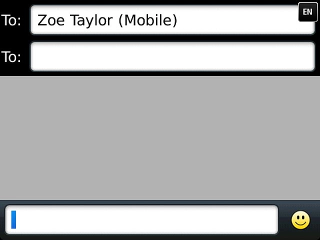 Press the text input field.Write the text for your text message.