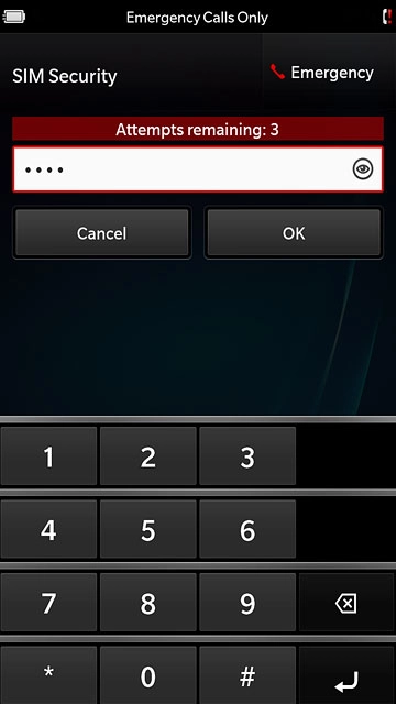 Key in your PIN and press OK.If your phone rejects the SIM:Contact the distributor or service provider where you bought your phone.