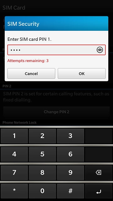 Key in your PIN and press OK.