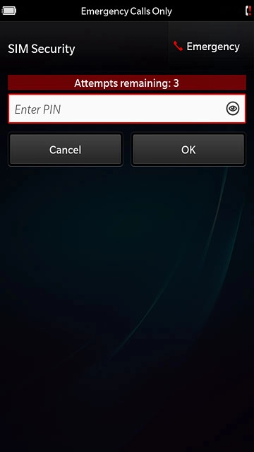 Press Enter PIN.