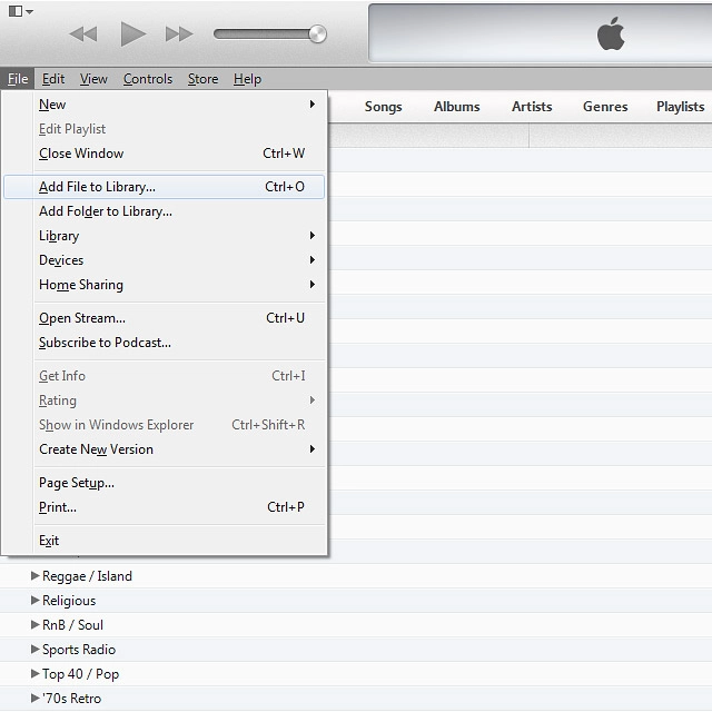 To add one file at a time:Click Add File to Library....