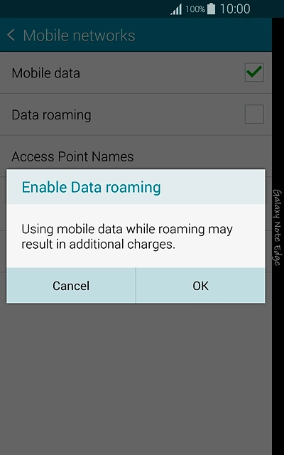 If you turn on data roaming:Press OK to confirm.