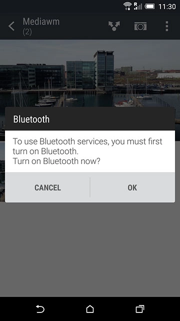 If Bluetooth is turned off:Press OK to turn on Bluetooth.