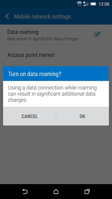 If you turn on data roaming:Press OK to confirm.