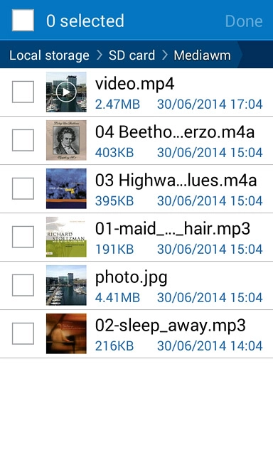 Press the box next to the required file.